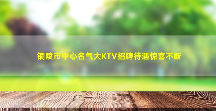 铜陵市中心名气大KTV招聘待遇惊喜不断